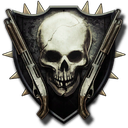 Shotguns