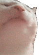 catJAM