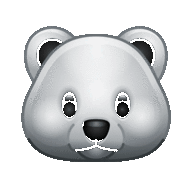 Polar Bear